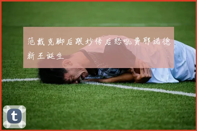范戴克脚后跟妙传后怒吼费耶诺德新王诞生