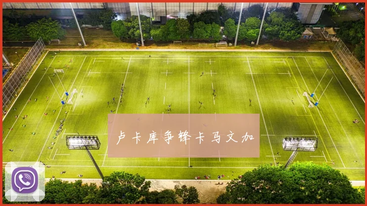 卢卡库争锋卡马文加