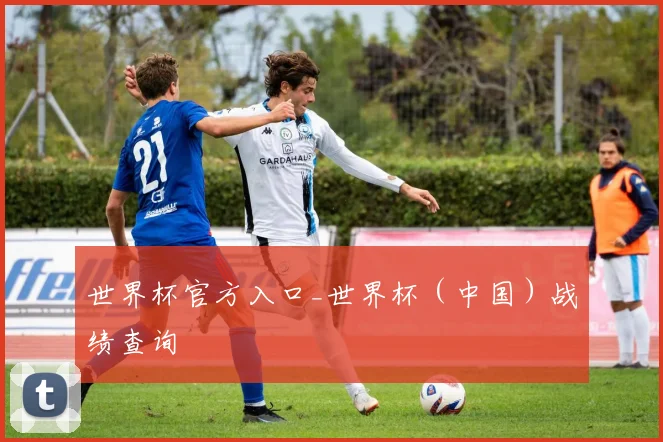 世界杯官方入口_世界杯（中国）战绩查询