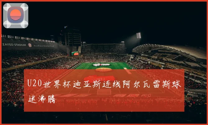 U20世界杯迪亚斯连线阿尔瓦雷斯球迷沸腾