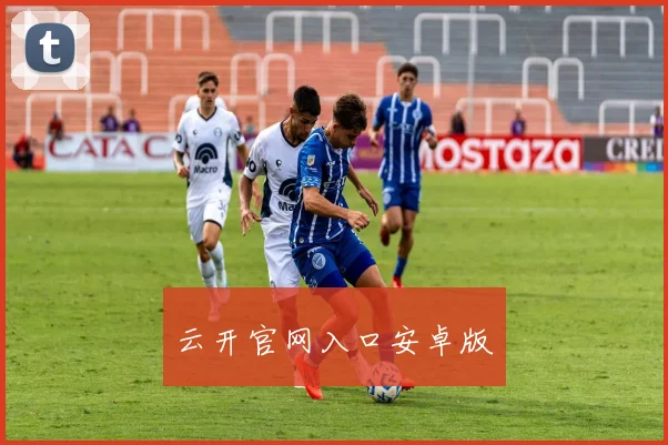 云开官网入口安卓版