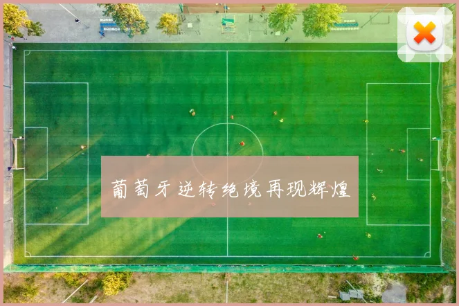 葡萄牙逆转绝境再现辉煌