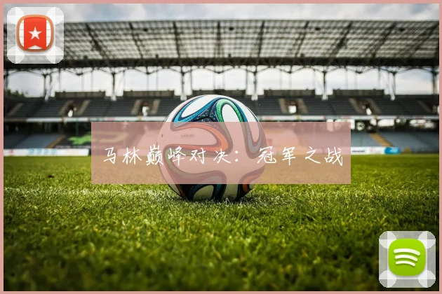 马林巅峰对决：冠军之战