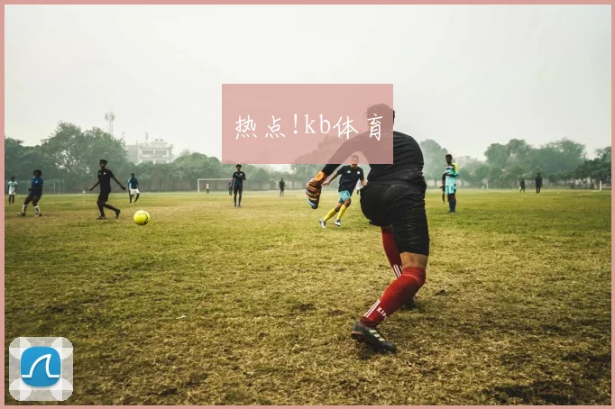 热点!kb体育