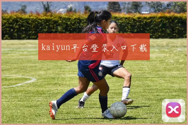 kaiyun平台登录入口下载