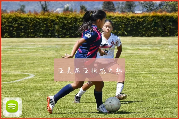 亚美尼亚状态火热