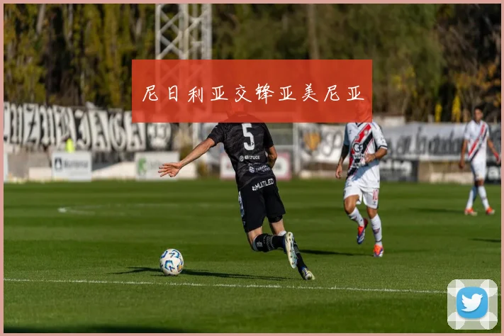 尼日利亚交锋亚美尼亚