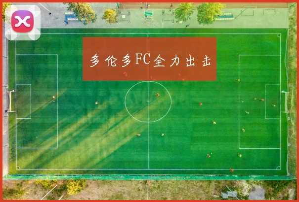 多伦多FC全力出击