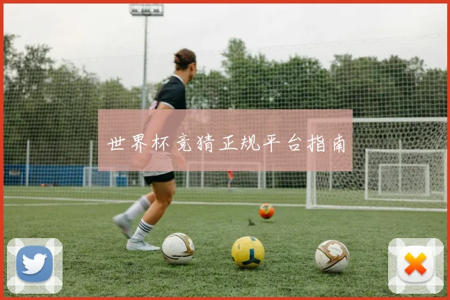 世界杯竞猜正规平台指南