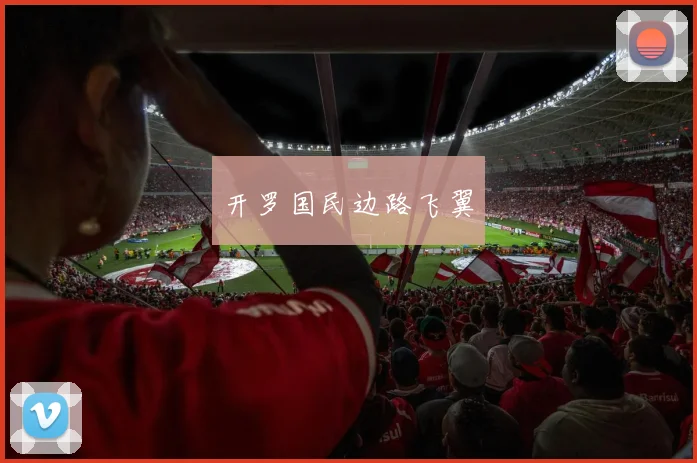 开罗国民边路飞翼