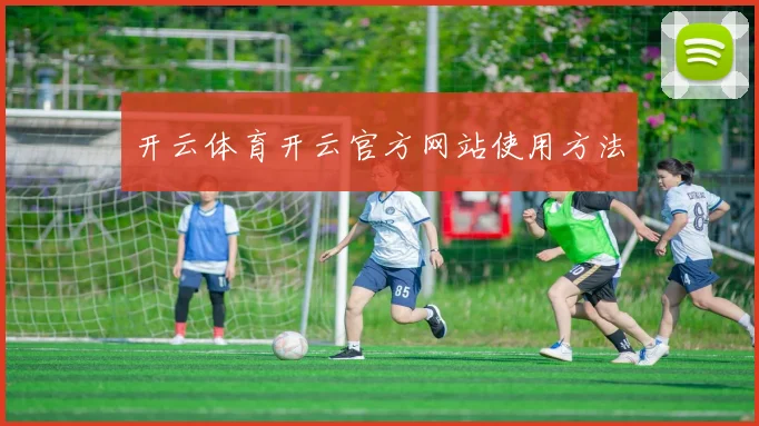 开云体育开云官方网站使用方法