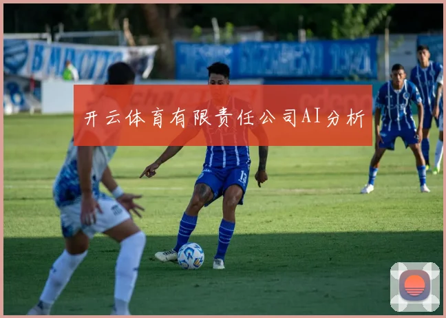 开云体育有限责任公司AI分析