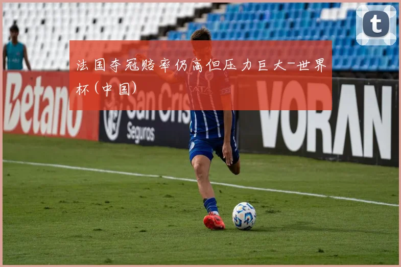 法国夺冠赔率仍高但压力巨大-世界杯(中国)