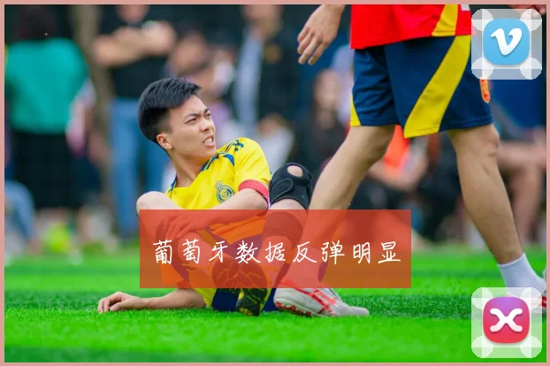 葡萄牙数据反弹明显