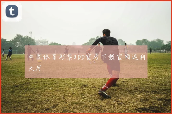 中国体育彩票app官方下载官网返利大厅