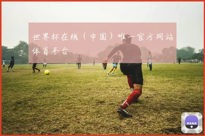 世界杯在线（中国）唯一官方网站体育平台