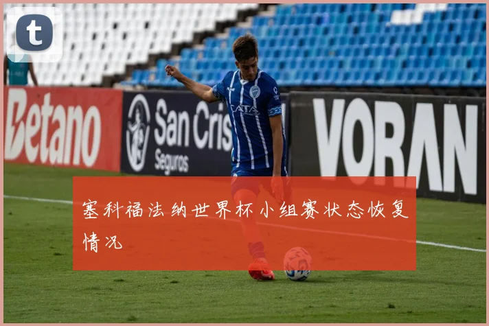 塞科福法纳世界杯小组赛状态恢复情况
