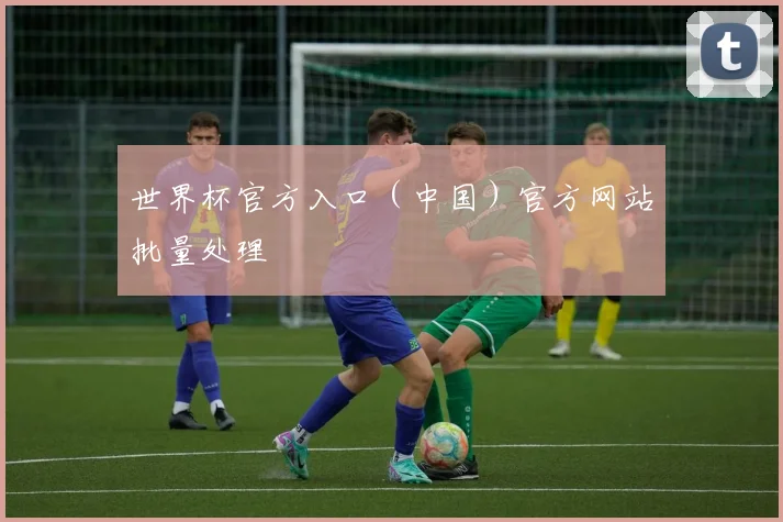 世界杯官方入口（中国）官方网站批量处理