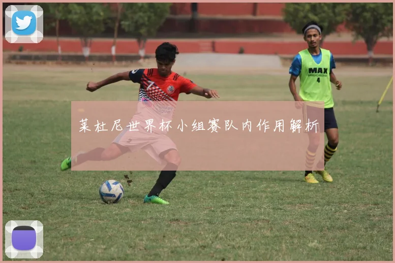 莱杜尼世界杯小组赛队内作用解析