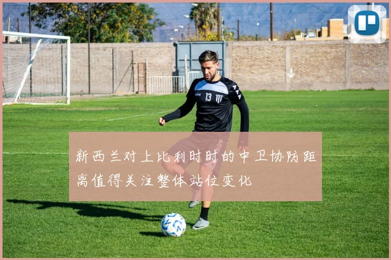 新西兰对上比利时时的中卫协防距离值得关注整体站位变化