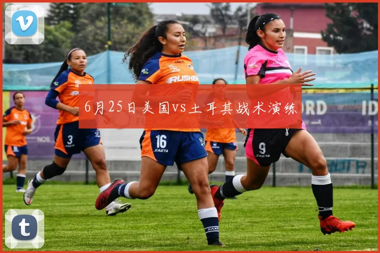 6月25日美国vs土耳其战术演练