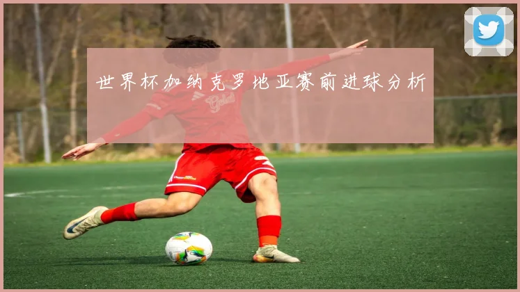 世界杯加纳克罗地亚赛前进球分析